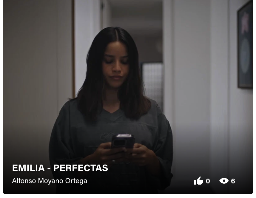 Imagen del proyecto Emilia — Perfectas