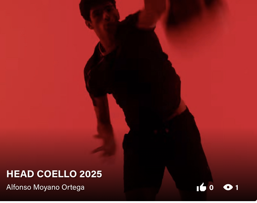 Imagen del proyecto Head Coello 2025