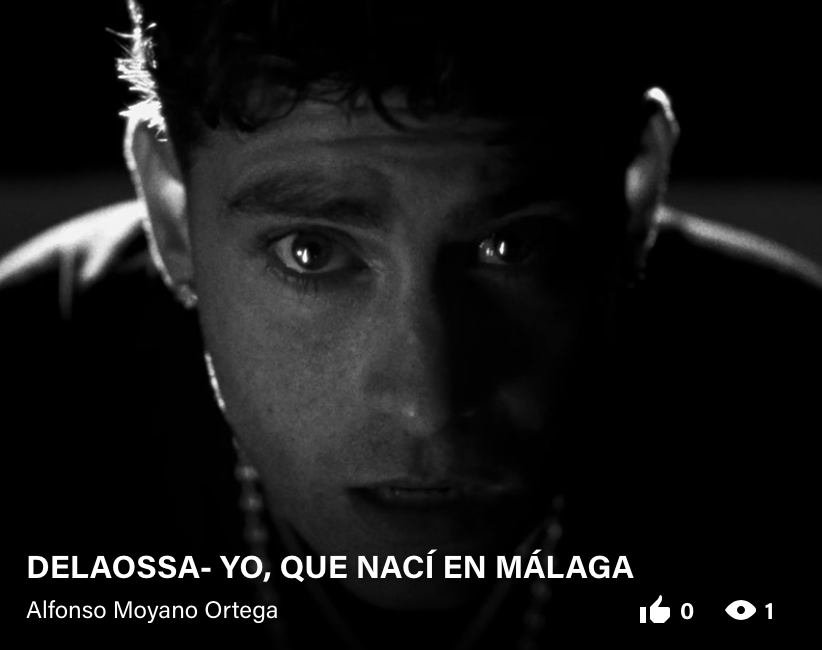 Imagen del proyecto Delaossa — Yo, que nací en Málaga